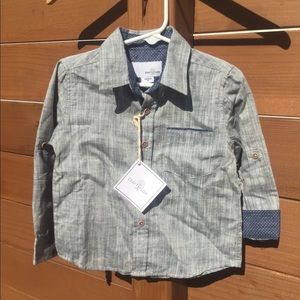 Gray Toddler Boy Button Down